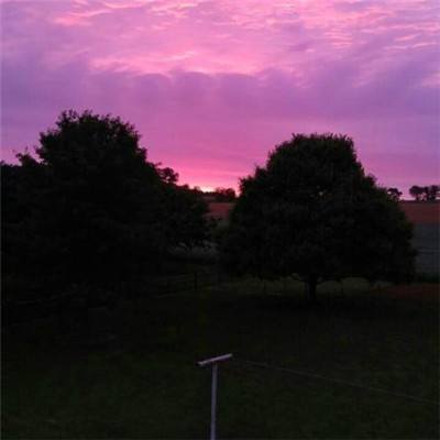 新澳门六开彩资料大全app下载